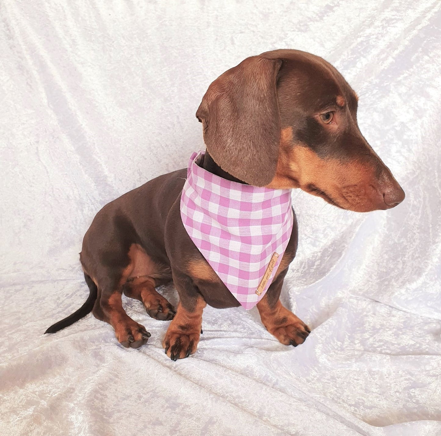 Purple Gingham Bandana