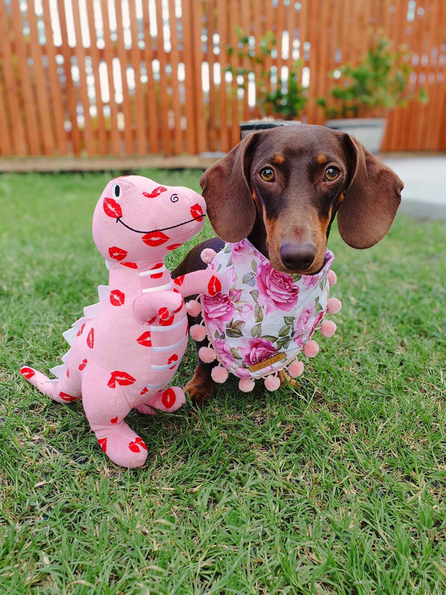 Roses are Pink Reversible Bandana