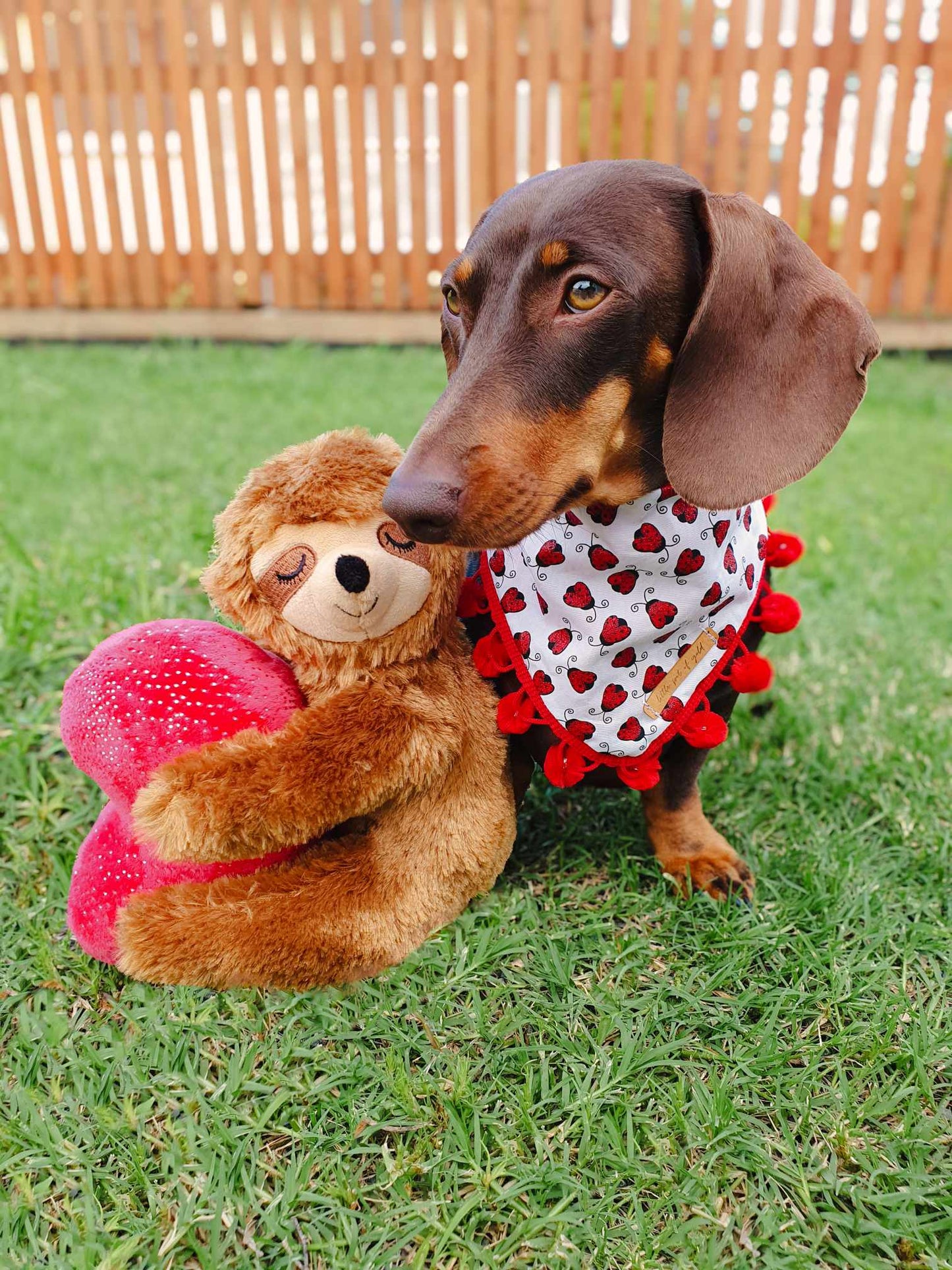 Love Bug Reversible Bandana