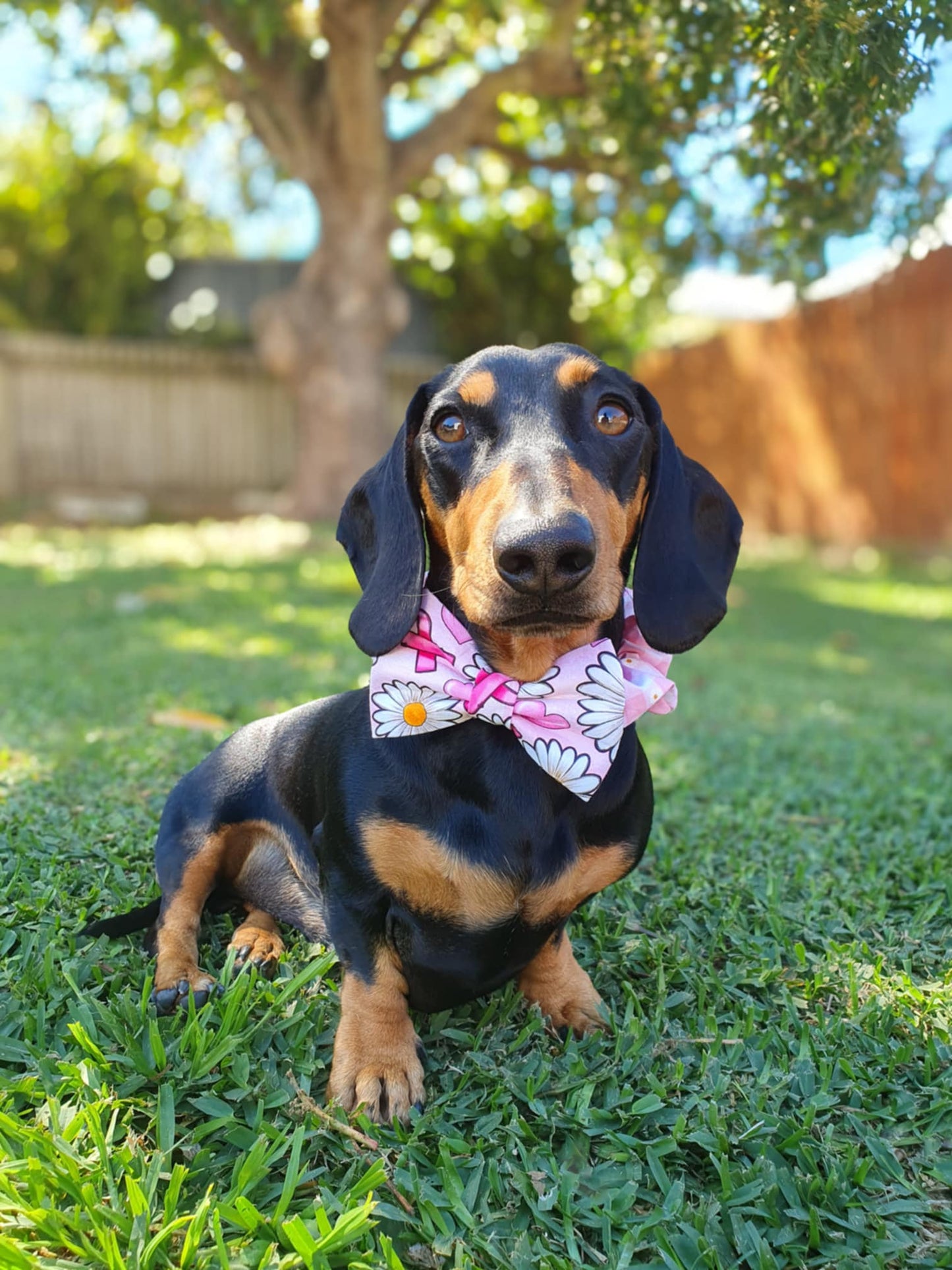 Pink Ribbon Awareness Bow