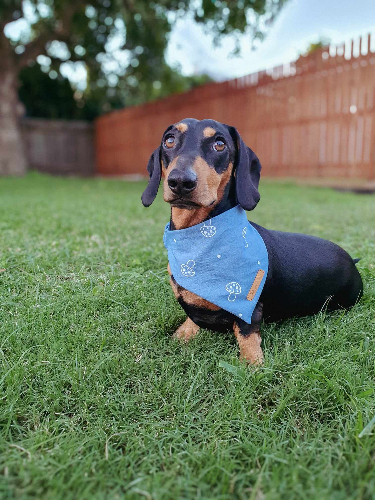 Axel X Murphee Bandana