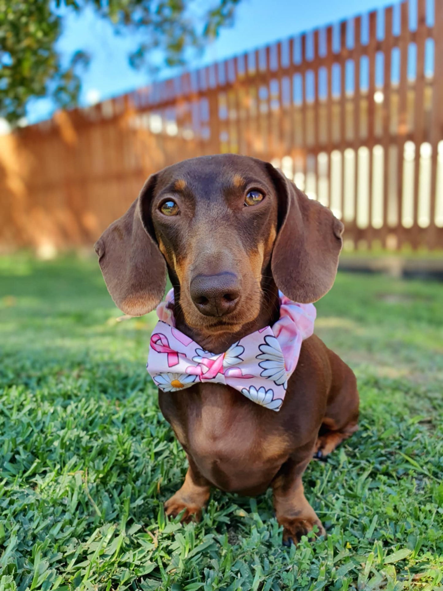 Pink Ribbon Awareness Bow