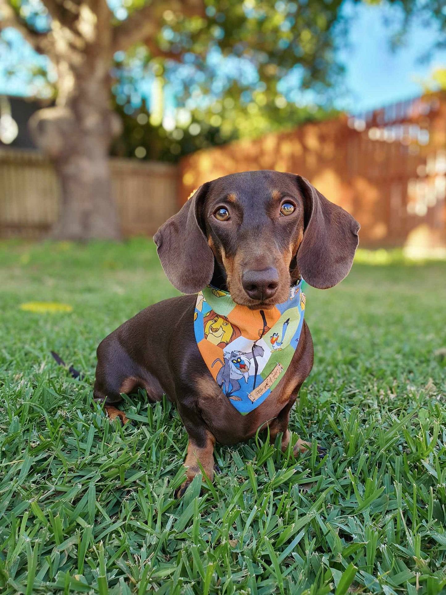 King of the Jungle Bandana