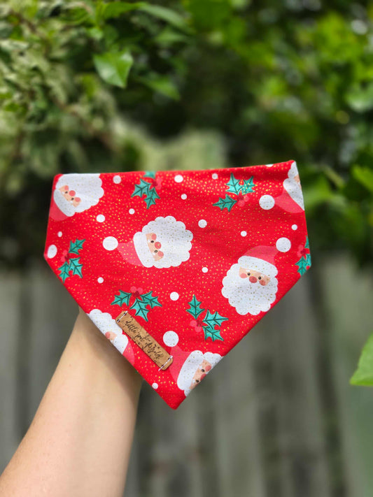 Here Comes Santa Bunchie