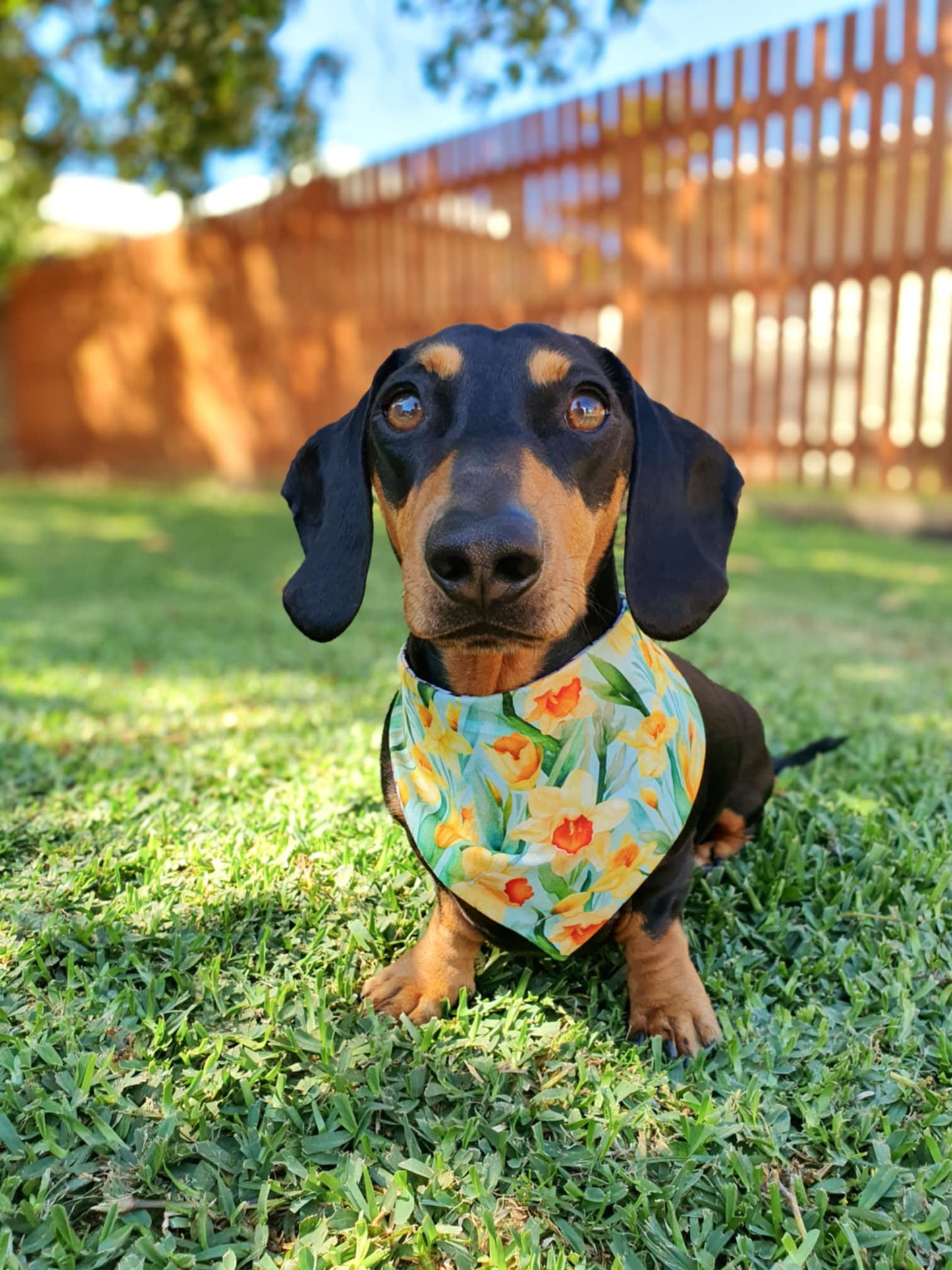 Reversible Cancer Awareness Bandana