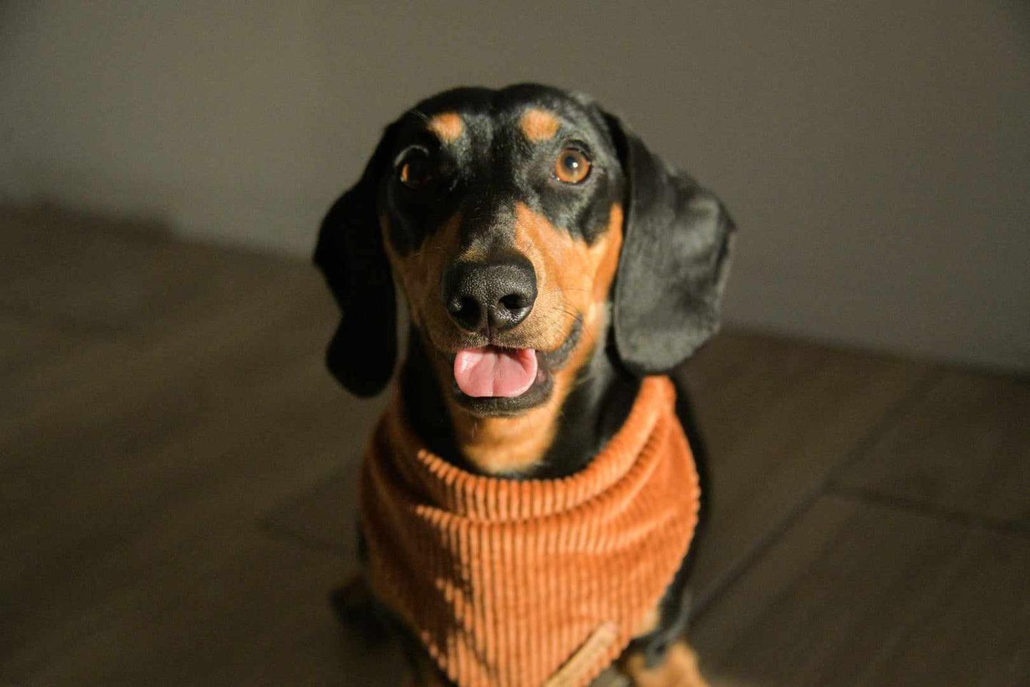 Rust Bandana