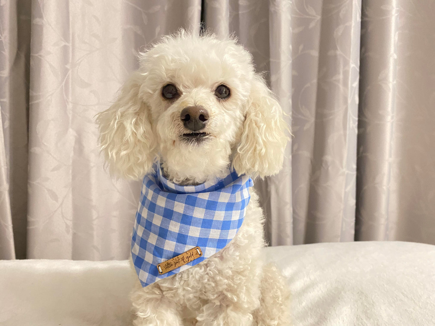 Blue Gingham Bandana