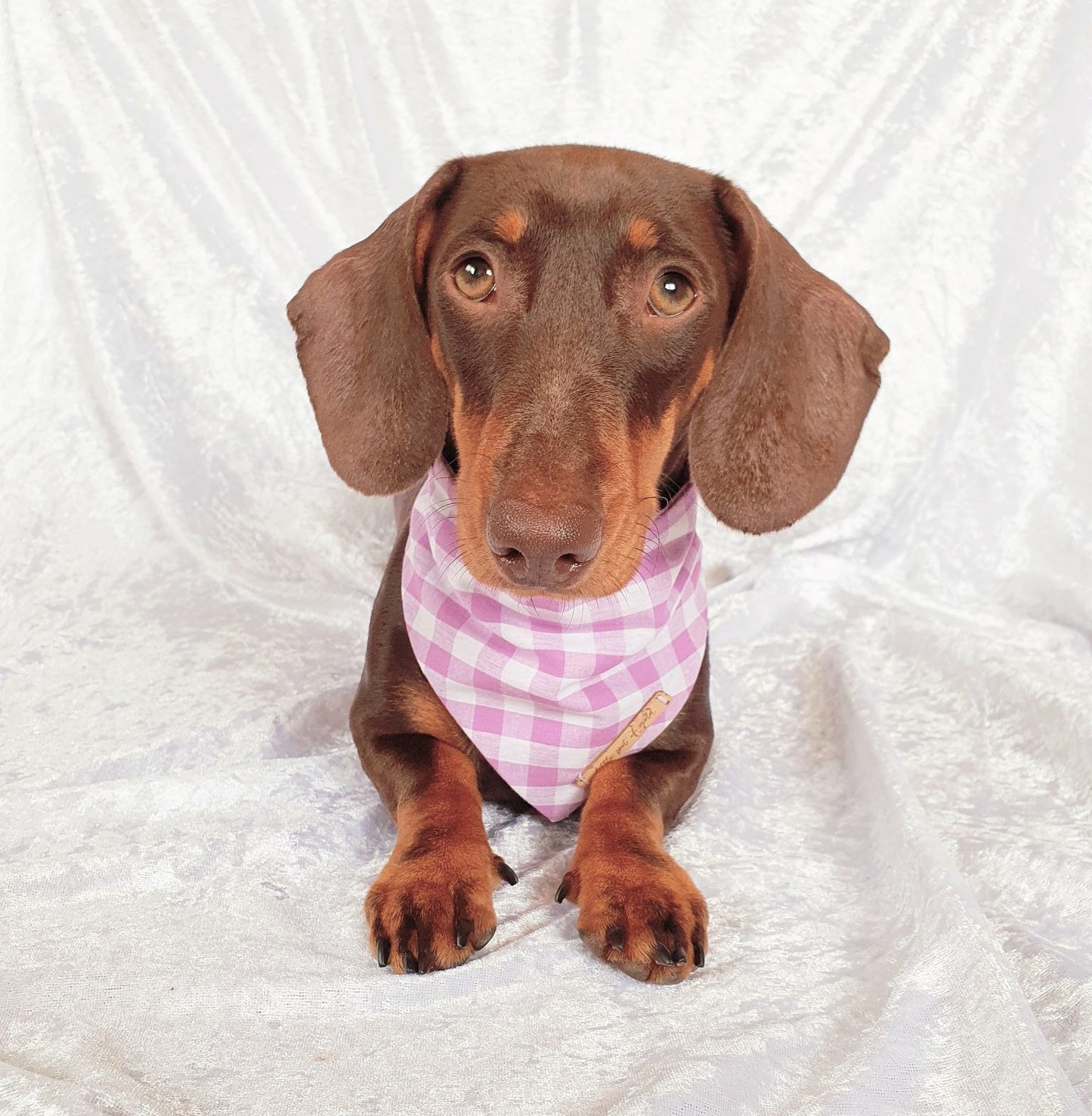 Purple Gingham Bandana