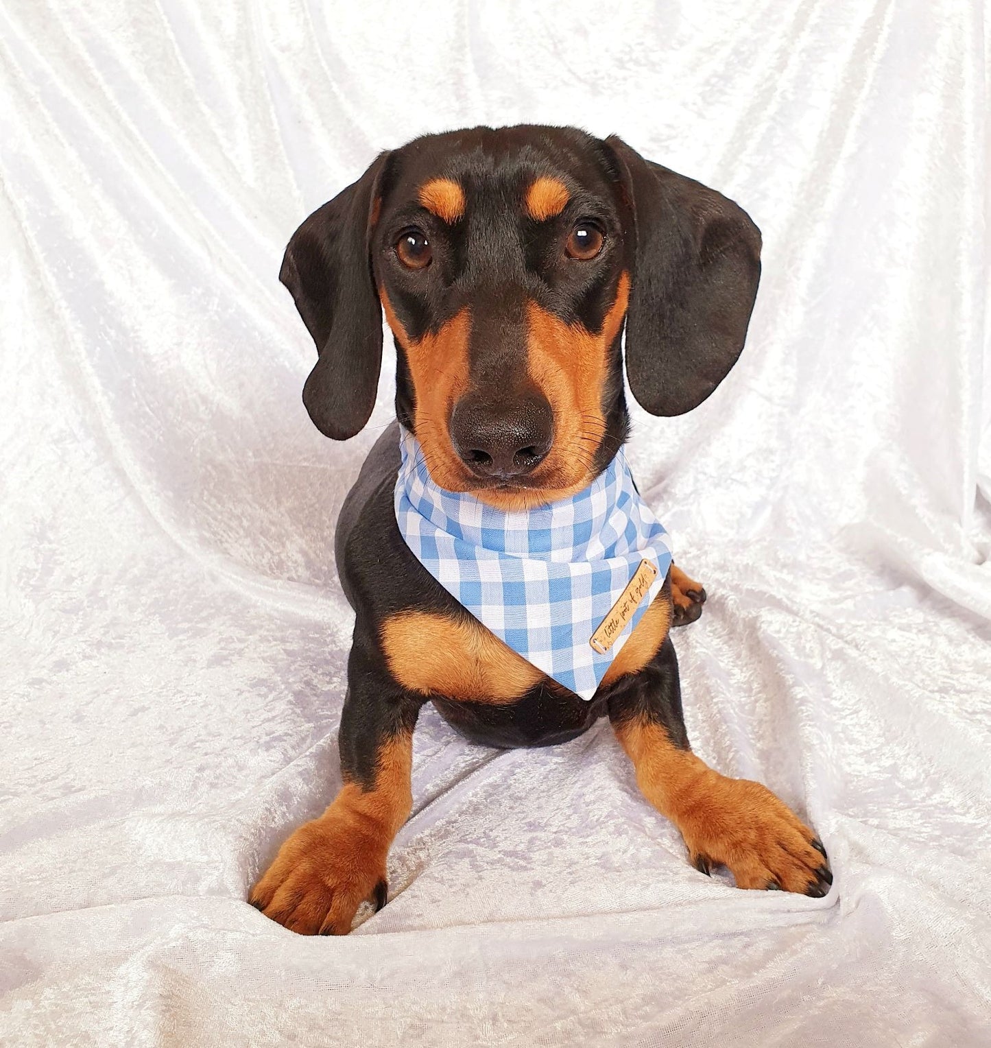 Blue Gingham Bandana