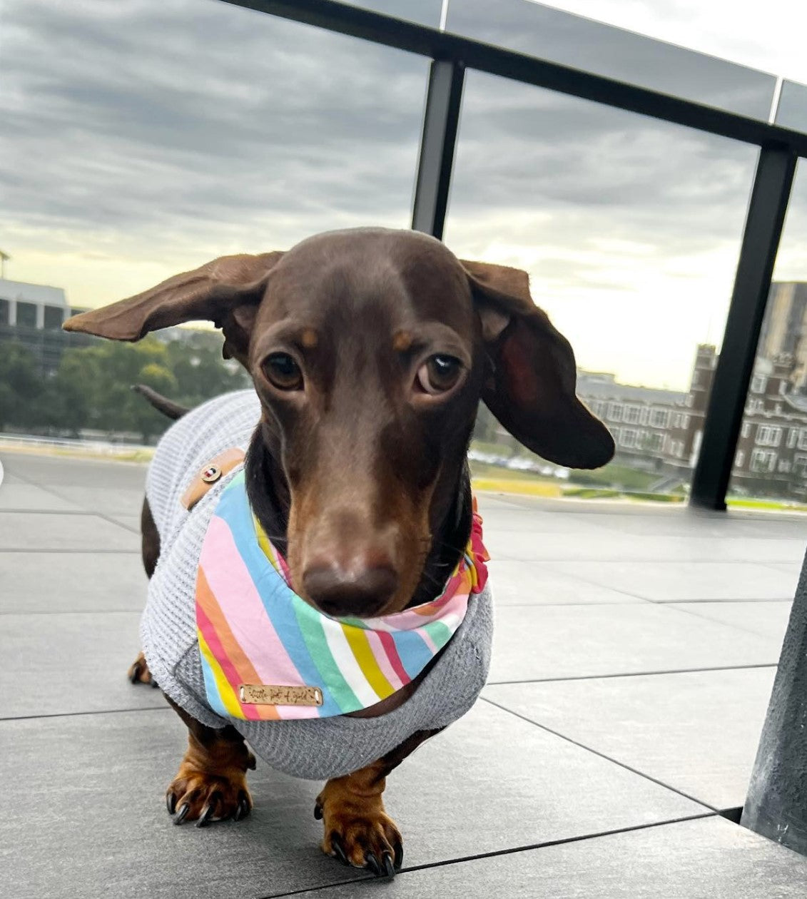 Taste the Rainbow Bandana