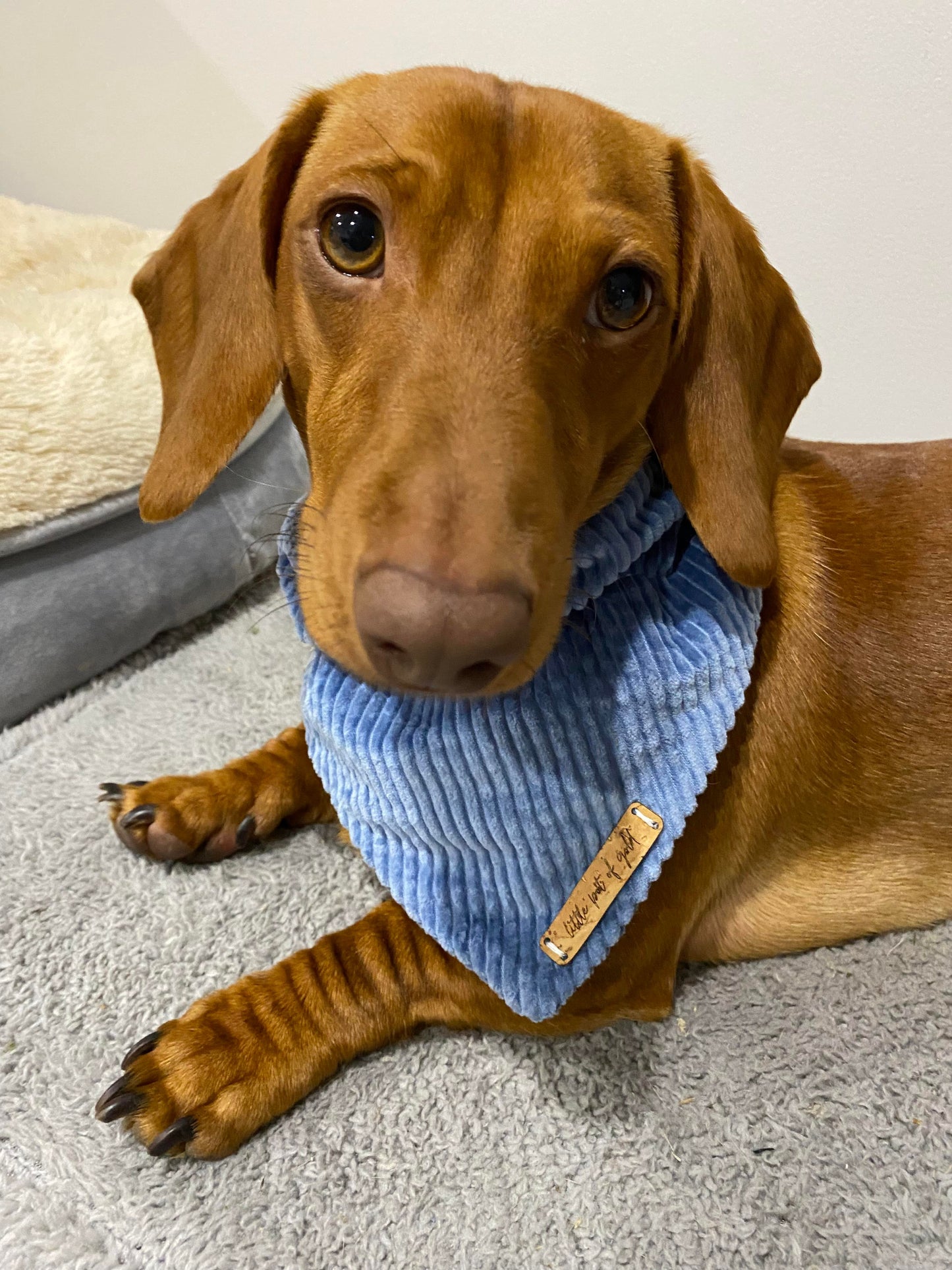 Baby Blue Bandana