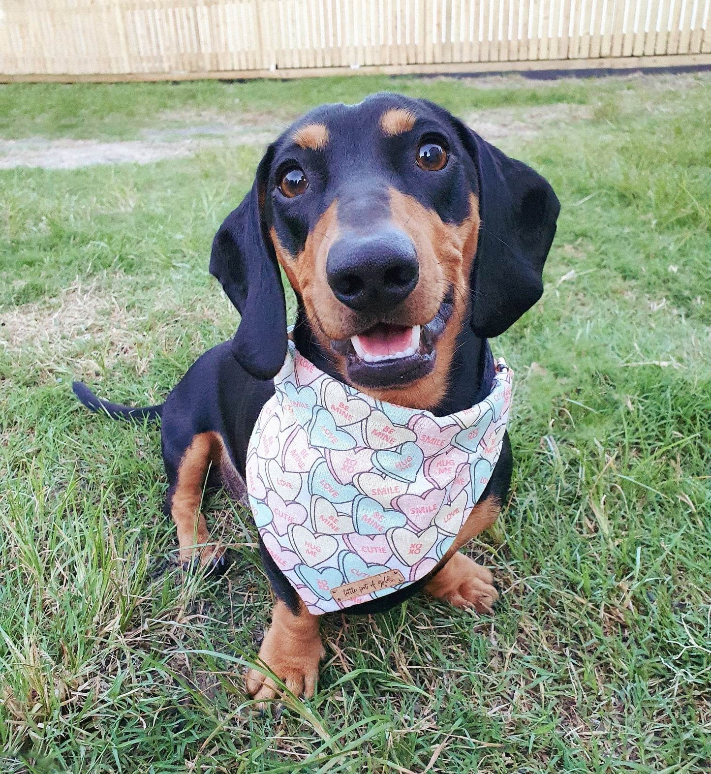 Candy Hearts Bandana