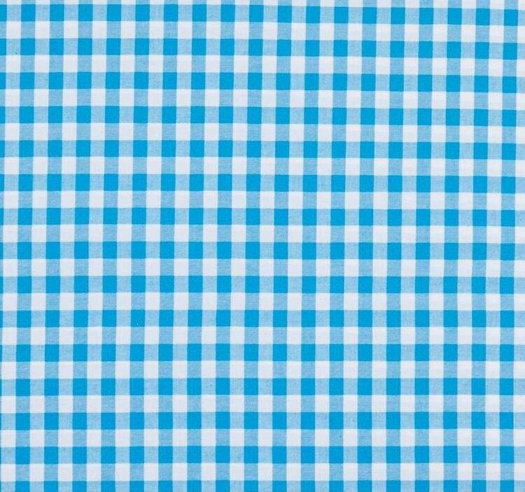 Blue Gingham Bandana