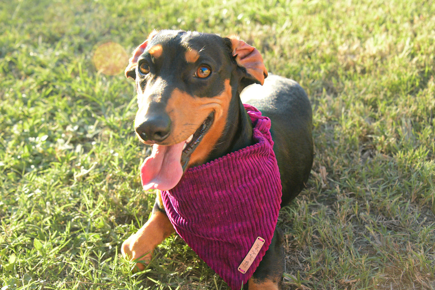 Fuchsia Bandana