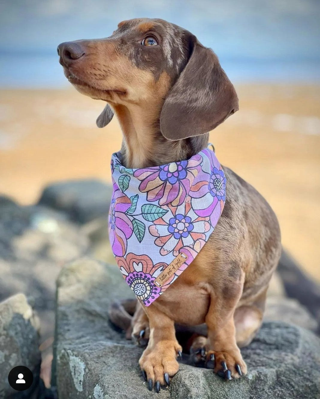 Groovy Baby Bandana